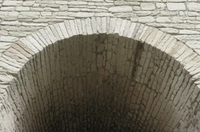 Illustration reins - Image 1