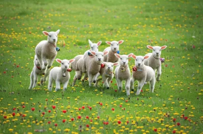 Illustration spring - Image 1