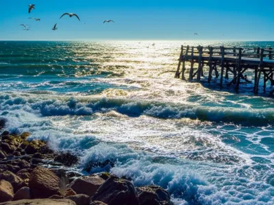 Illustration briny - Image 1