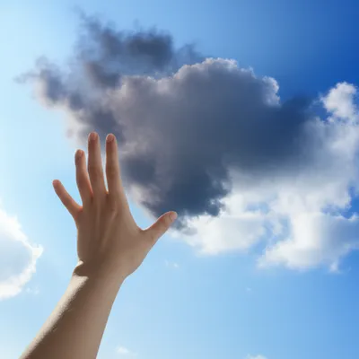 Illustration removed - Image 1