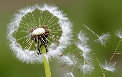 Illustration propagate - Image 1