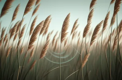 Illustration tongue - Image 1