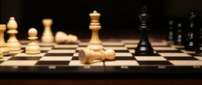 Illustration attractions - Image 1