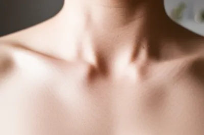 Illustration clavicles