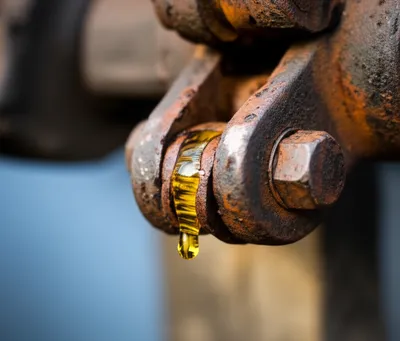 Illustration oiling - Image 1