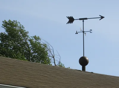 Illustration back - Image 1