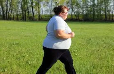 Illustration fatty - Image 3