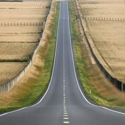 Illustration border - Image 1