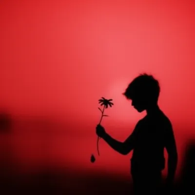 Illustration dun - Image 1