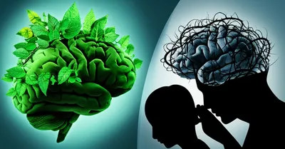 Illustration inoculate - Image 1