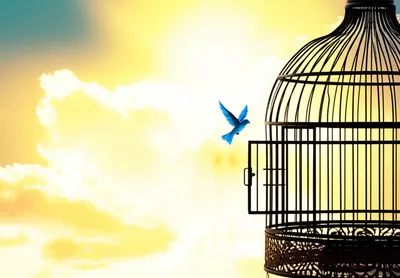 Illustration loosening - Image 1