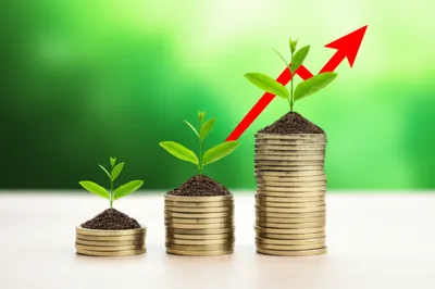 Illustration profitable