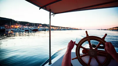 Illustration steers - Image 1