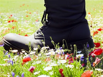 Illustration trampling - Image 1