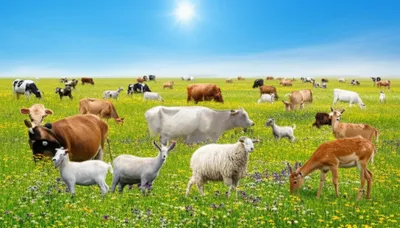 Illustration browses - Image 1