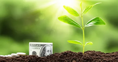 Illustration investing - Image 1