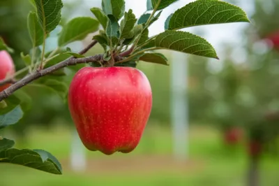 Illustration hole - Image 1