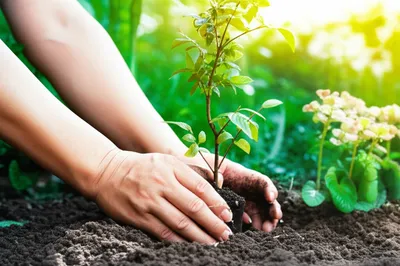 Illustration undertaking - Image 1