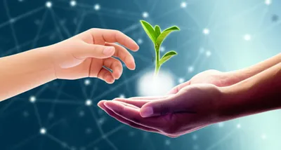 Illustration interchanged - Image 1