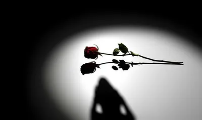 Illustration shaming - Image 1