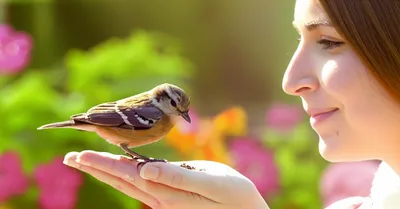 Illustration habituating