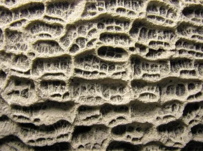 Illustration tabulate - Image 1