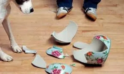 Illustration sinister - Image 2