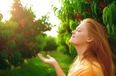 Illustration gusting - Image 1