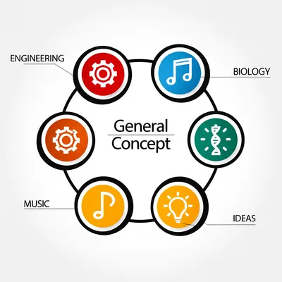 Illustration specialisation - Image 1