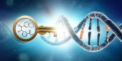 Illustration activator - Image 1