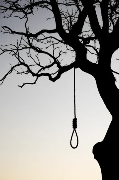 Illustration hangs - Image 1