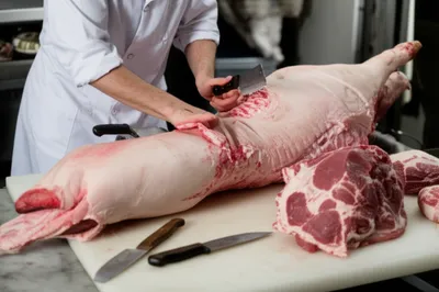 Illustration fabrications - Image 1