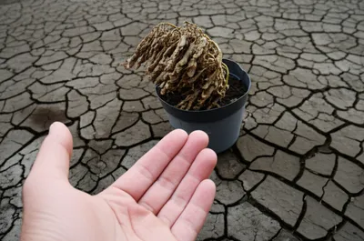 Illustration arrears - Image 1