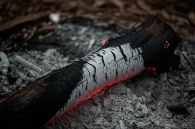 Illustration combust - Image 1