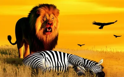 Illustration carnivores