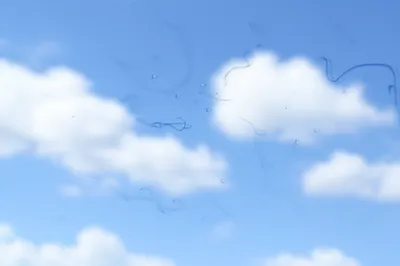 Illustration floater - Image 1