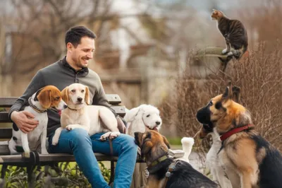 Illustration dogman - Image 1