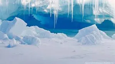 Illustration icy - Image 2