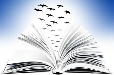 Illustration eloquence - Image 1