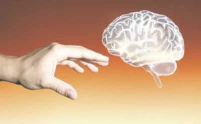 Illustration acquirements - Image 1