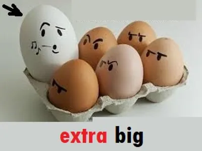 Illustration extra - Image 2