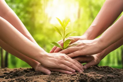 Illustration espousal - Image 1