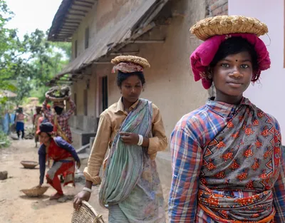 Illustration loads - Image 2