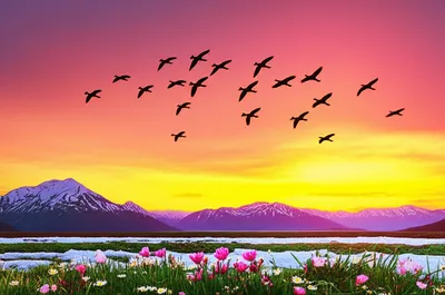 Illustration harbinger - Image 1