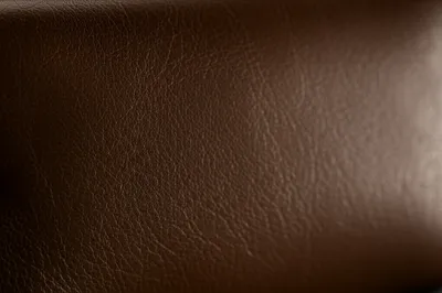 Illustration calfskin