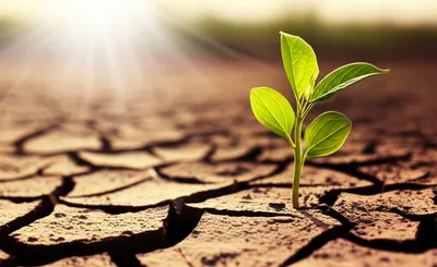 Illustration grown - Image 1