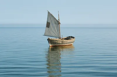 Illustration whelp - Image 1