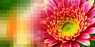 Illustration res - Image 1