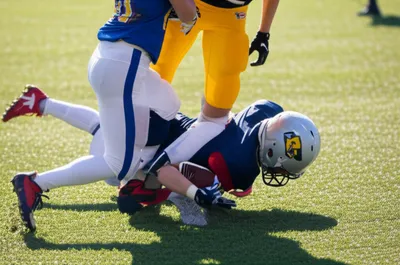 Illustration clipped - Image 1