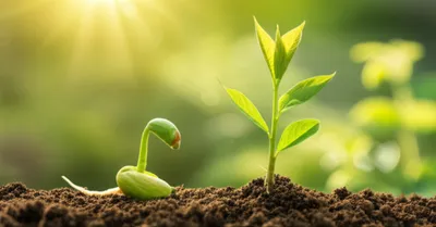 Hình ảnh minh họa digesting - Ảnh 1